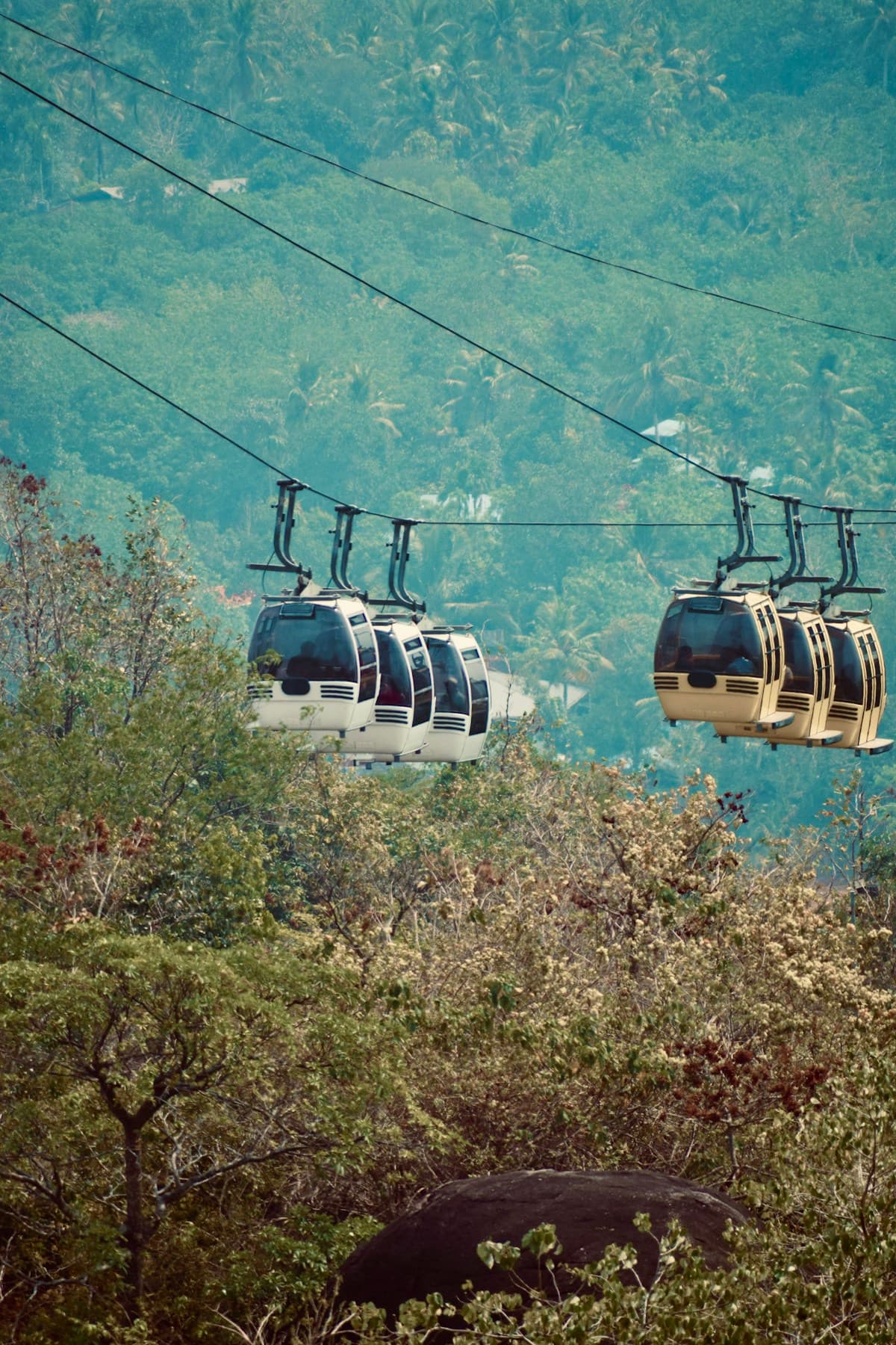 Timber Trail Cable Car – Kasauli