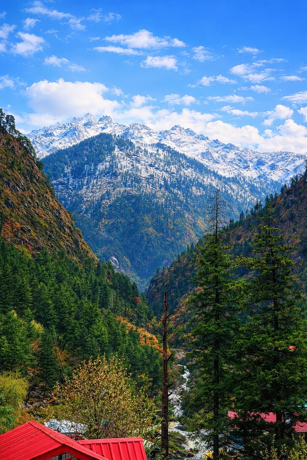 Wanderer Stays Kasol exterior