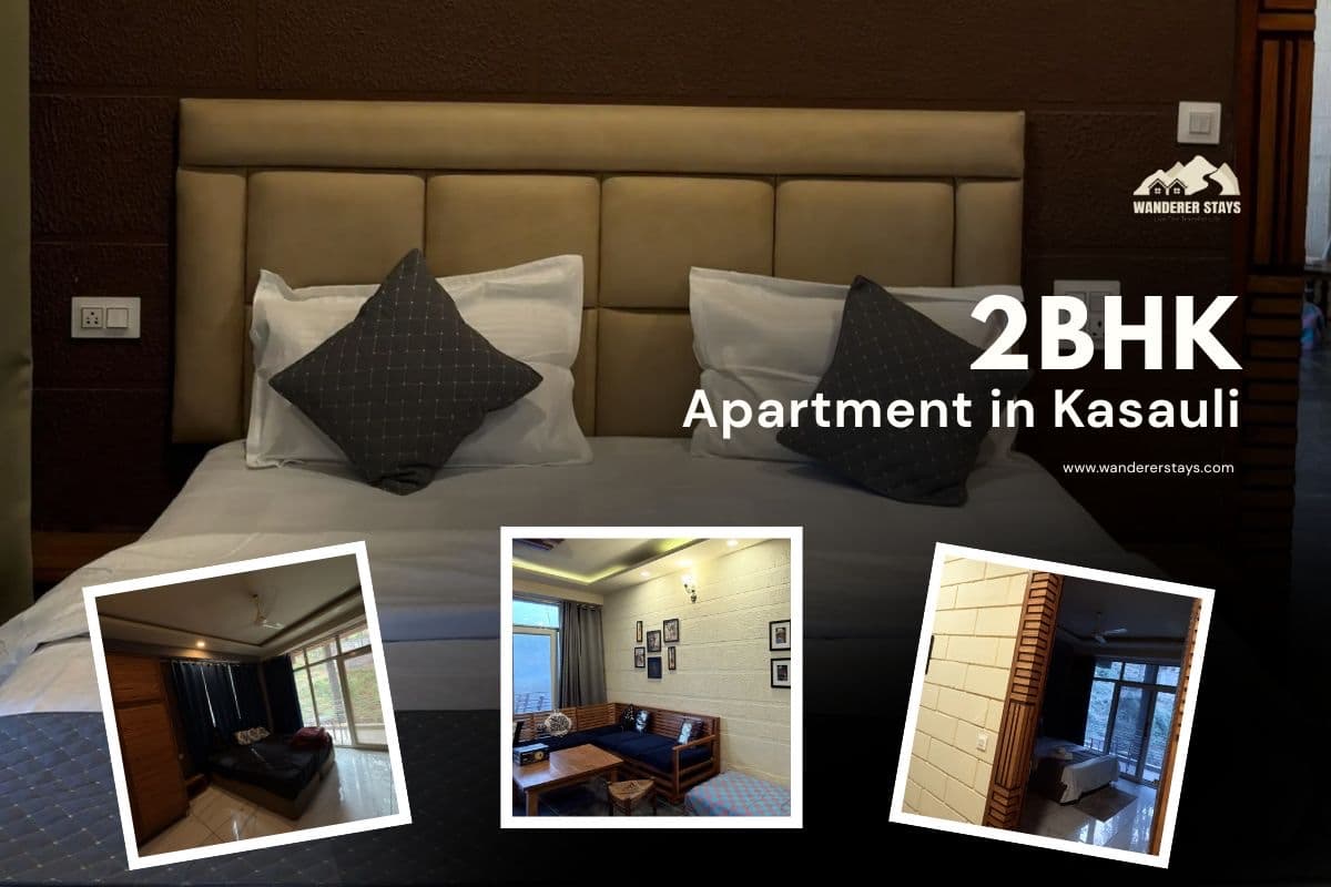 Why Choose a Private 2BHK Apartment in Kasauli? 12 Reasons to Skip the Hotel