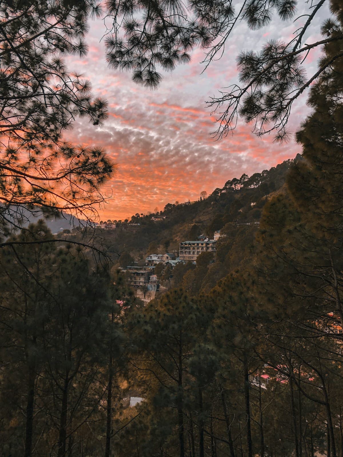 Kasauli Hills & Sunset Views