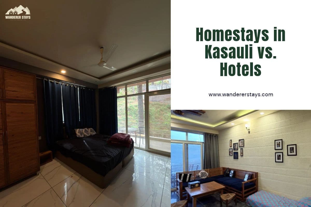 Homestays in Kasauli vs. Hotels: Which is Best for Families and Groups?